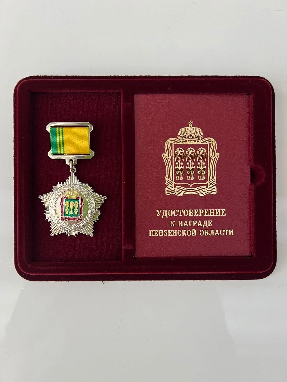 Губернатор Олег Мельниченко наградил Рашида Хайрова орденом За заслуги перед Пензенской областью III степени